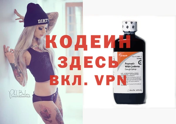 гидра Покачи